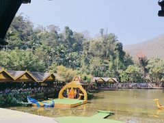 -西双版纳原始森林公园