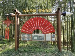 -黄海国家森林公园