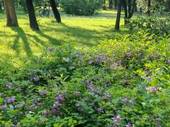 -国家植物园南园