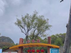 -柳州市动物园