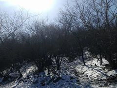 -北京凤凰岭