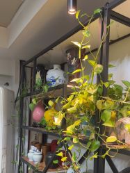 -冰岛刺青·手工耳饰品售卖·专业纹身