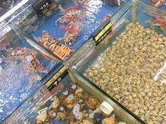 -明记海鲜大排档(巽寮湾店)