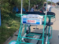 -日照海滨国家森林公园