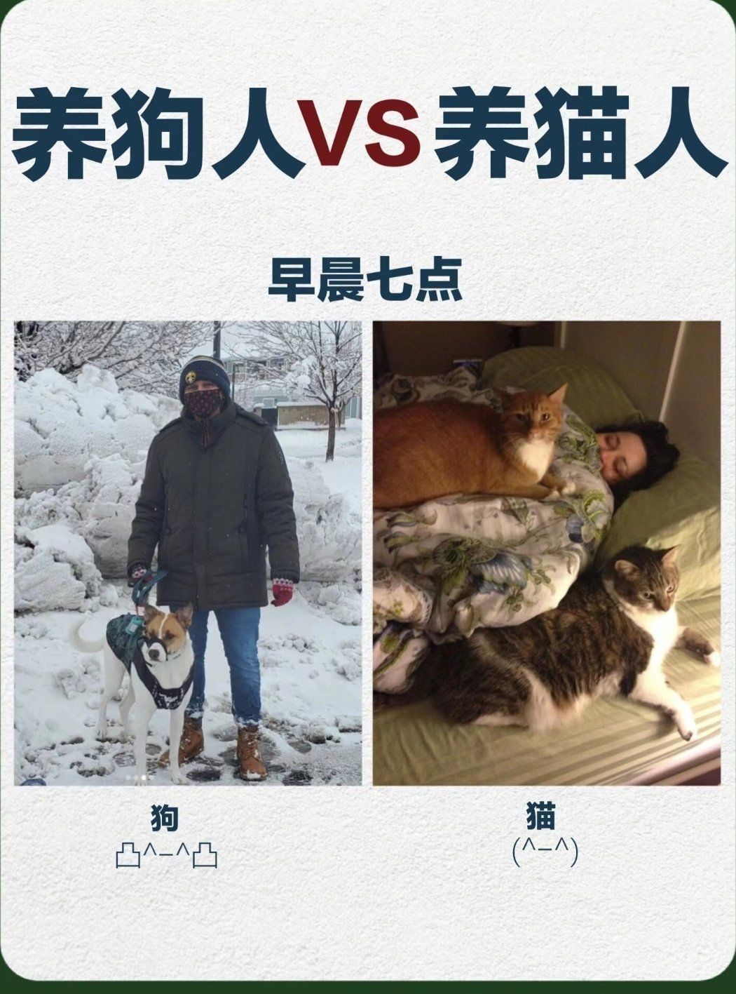 为什么说男人不能养猫,女人不能养狗为什么在线