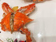 -舌尖上·霞浦滩涂海鲜·新闽菜(总店)