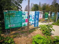 -上海长兴岛郊野公园