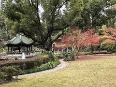 -申粤轩酒楼·三十年粤菜经典(丁香花园店)
