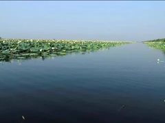 -焦岗湖旅游度假区