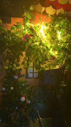 -疯狂冒险家-亲子密室-东坝店(金隅嘉品店)