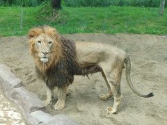 -北京野生动物园