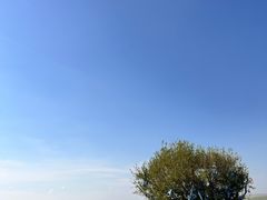 -186彩带河