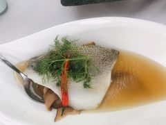 fusion水煮鱼-梧桐