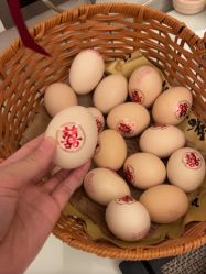 -宝生月子中心(民治店)