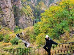 -小五台金河景区