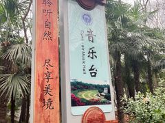 -音乐台