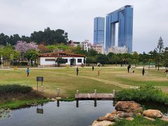 -海珠儿童公园