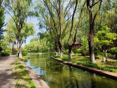 -阿尔丁植物园