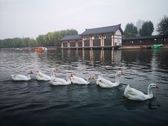 -西安汉城湖景区