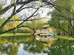 -上海共青森林公园