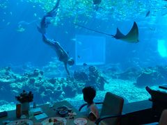 -海棠湾洲际-涛·海底餐厅·美人鱼·自助餐·海底隧道