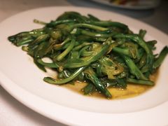 -鲨鱼醉鲜坊