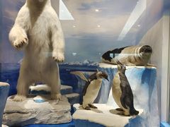 -国家自然博物馆