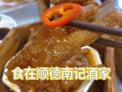 -寻味顺德·南记酒家·传统顺德菜·鱼生(广源路店)