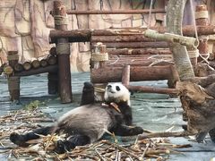 -泉州海丝野生动物世界