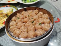 -新楚记