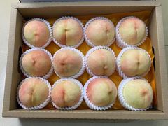 -老袁家蜜桃农场·阳山水蜜桃