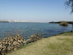 -艾溪湖湿地公园