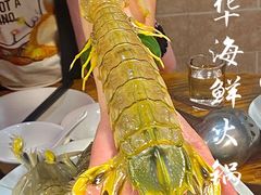 -凯华海鲜火锅·传承三十六年