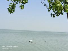 -捞渔河湿地公园