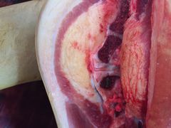 iphone_upload_pic-苗阿哥