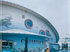 -哈尔滨极地公园