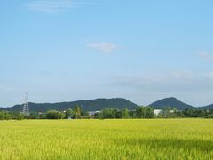 -良渚古城遗址公园