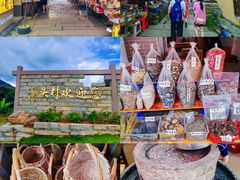 -广州市流溪河国家森林公园