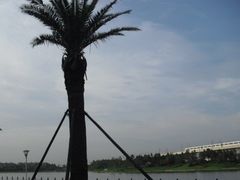 -美兰湖景区