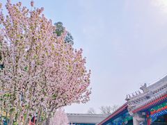 -恭王府博物馆