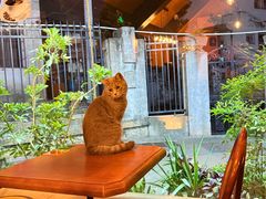 -猫岛主趣味餐厅(鼓浪屿店)