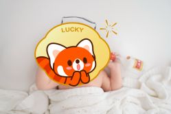 点击看大图 -玛瑞莎孕婴童摄影到家拍