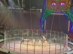 -俄罗斯国家大马戏团