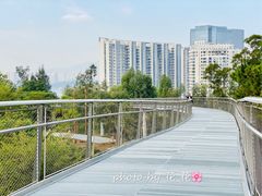 -狐尾山公园