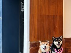 门面-Line 咖啡(石厦花园店)