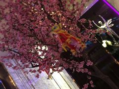 -纯K(打浦桥店)