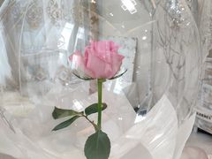 -森野花艺培训·企业团建活动沙龙