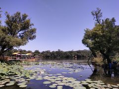-承德避暑山庄景区