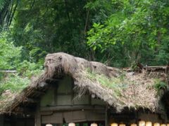 -成都杜甫草堂博物馆