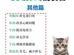 -爱洗澡的猫(天河路店)